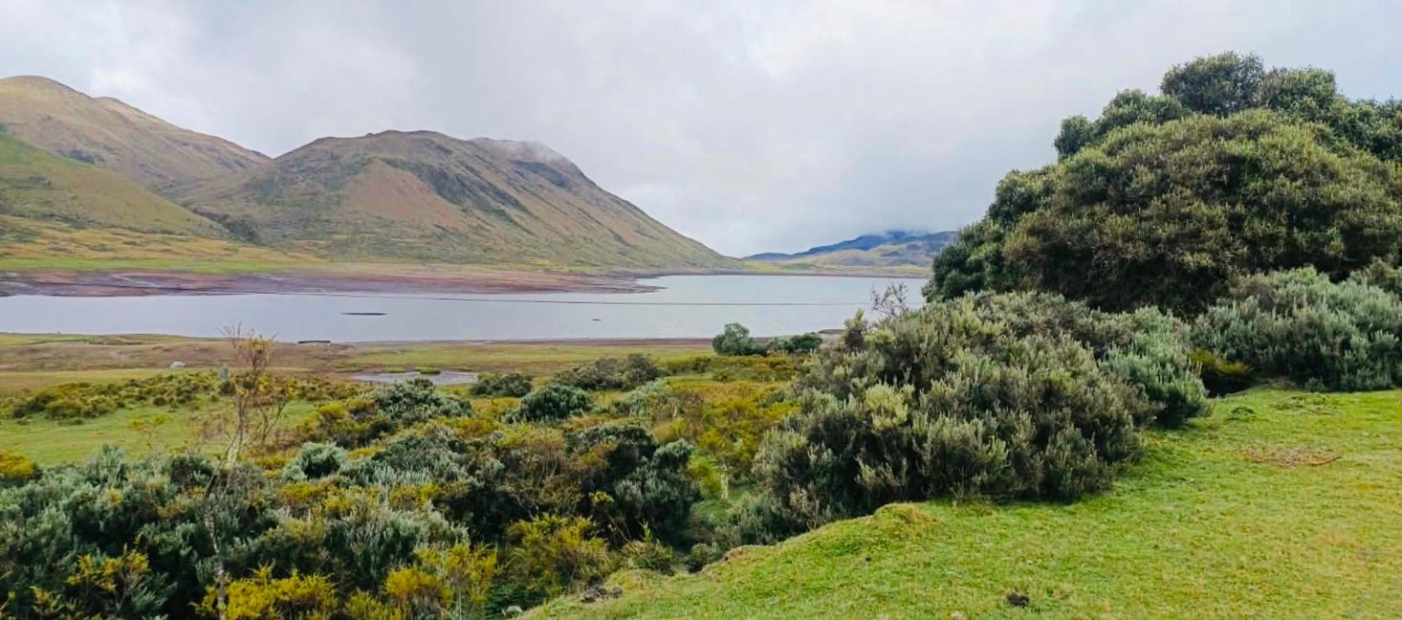 Laguna Yanacocha